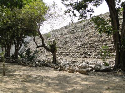 maya wall